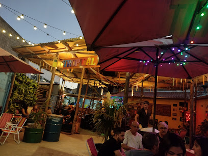 Beach Bar Tropical