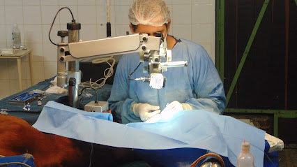 Visão Animal - Centro de Oftalmologia Veterinária