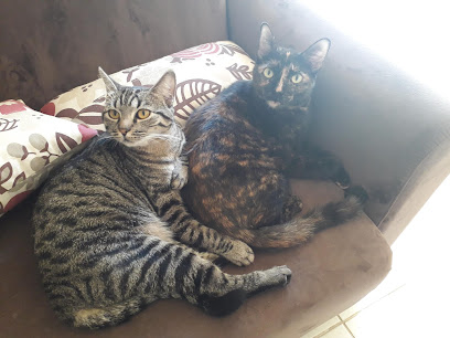 Saúde Animal