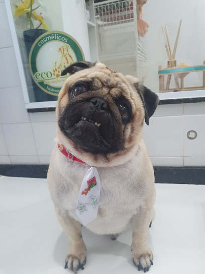 Clínica Veterinária Paula Ramos