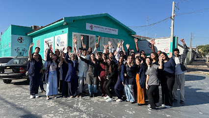 Hospital Veterinário Clínica Animal